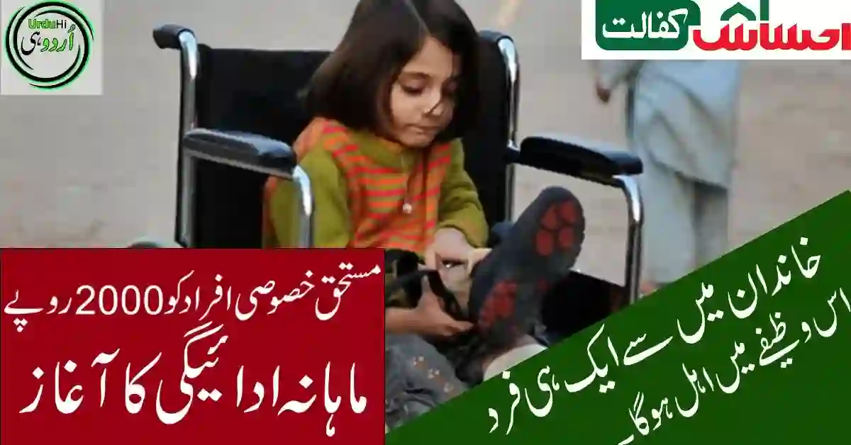 Ehsaas Disabled Person Program 2023